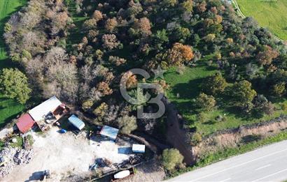 AYVACIK SÖĞÜTLÜ ANAYOLA CEPHE SATILIK 24 DÖNÜM TARLA