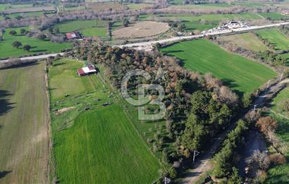 AYVACIK SÖĞÜTLÜ ANAYOLA CEPHE SATILIK 24 DÖNÜM TARLA