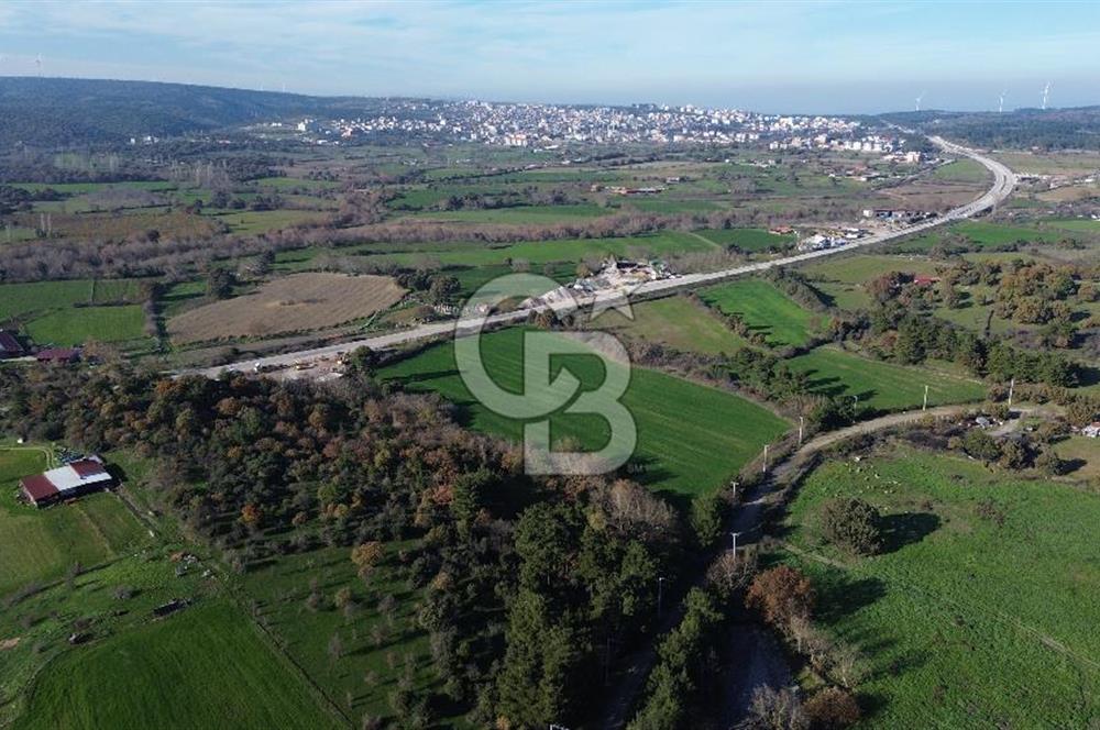 AYVACIK SÖĞÜTLÜ ANAYOLA CEPHE SATILIK 24 DÖNÜM TARLA