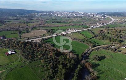 AYVACIK SÖĞÜTLÜ ANAYOLA CEPHE SATILIK 24 DÖNÜM TARLA