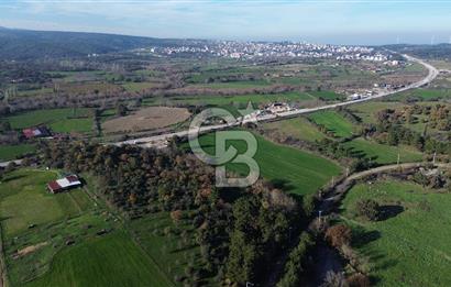 AYVACIK SÖĞÜTLÜ ANAYOLA CEPHE SATILIK 24 DÖNÜM TARLA