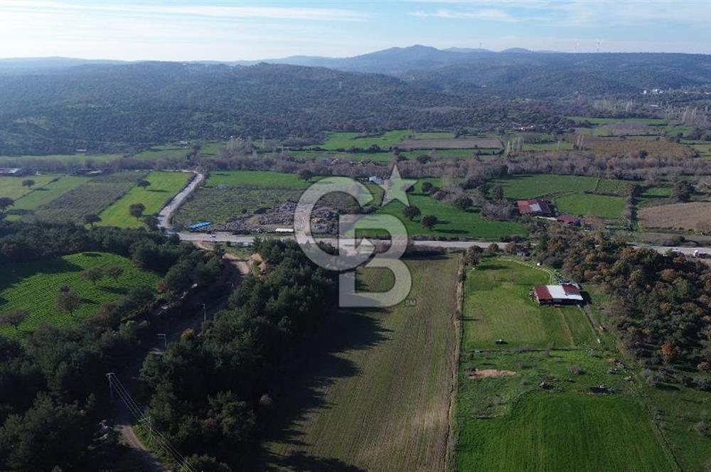 AYVACIK SÖĞÜTLÜDE 19 DÖNÜM ANAYOLA CEPHE SATILIK ARAZİ