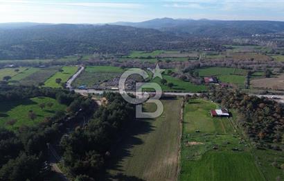 AYVACIK SÖĞÜTLÜDE 19 DÖNÜM ANAYOLA CEPHE SATILIK ARAZİ