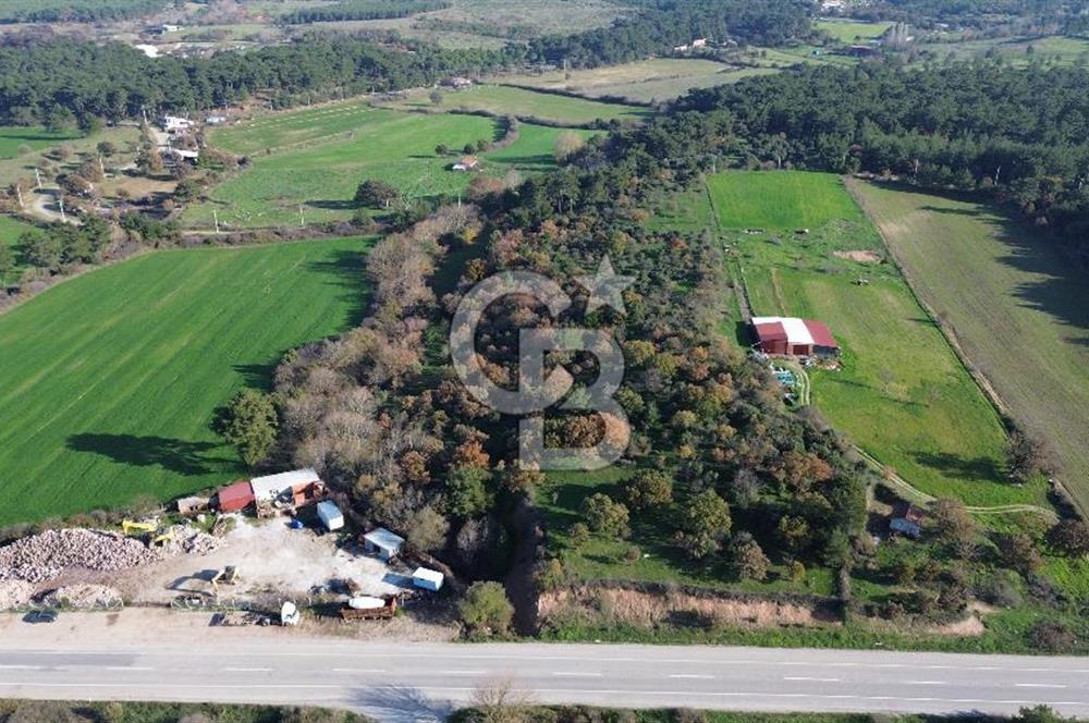 AYVACIK SÖĞÜTLÜDE 19 DÖNÜM ANAYOLA CEPHE SATILIK ARAZİ