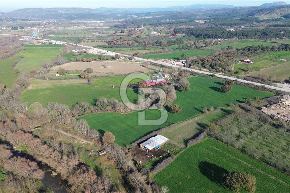 AYVACIK SÖĞÜTLÜDE 19 DÖNÜM ANAYOLA CEPHE SATILIK ARAZİ