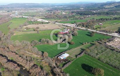 AYVACIK SÖĞÜTLÜDE 19 DÖNÜM ANAYOLA CEPHE SATILIK ARAZİ