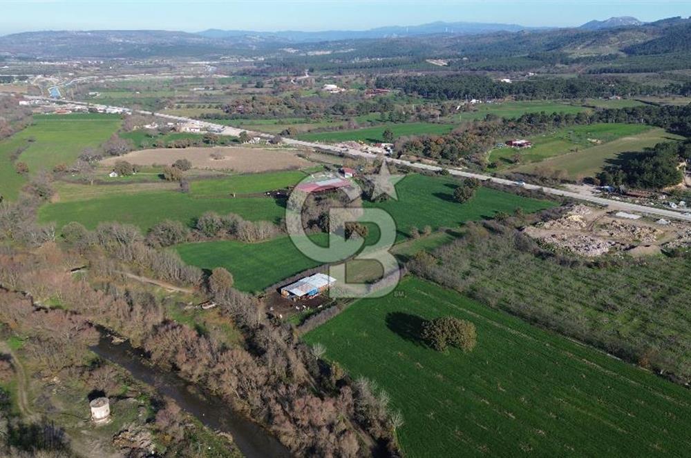 AYVACIK SÖĞÜTLÜDE 19 DÖNÜM ANAYOLA CEPHE SATILIK ARAZİ