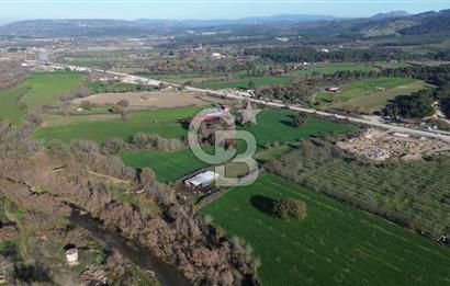 AYVACIK SÖĞÜTLÜDE 19 DÖNÜM ANAYOLA CEPHE SATILIK ARAZİ