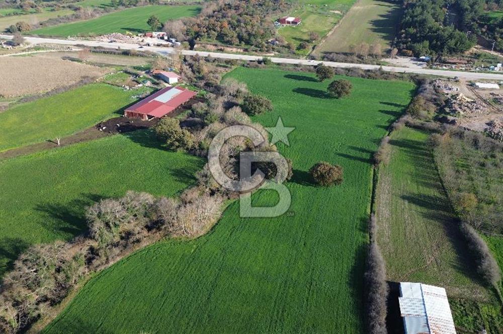 AYVACIK SÖĞÜTLÜDE 19 DÖNÜM ANAYOLA CEPHE SATILIK ARAZİ