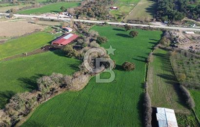 AYVACIK SÖĞÜTLÜDE 19 DÖNÜM ANAYOLA CEPHE SATILIK ARAZİ