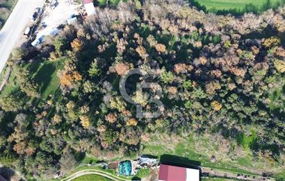 AYVACIK SÖĞÜTLÜ ANAYOLA CEPHE SATILIK 24 DÖNÜM TARLA