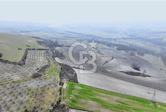 KANAL İSTANBULUN KALBİNDE DURSUNKÖYDE 376 m² YATIRIMLIK ARSA! - 6 - 340050