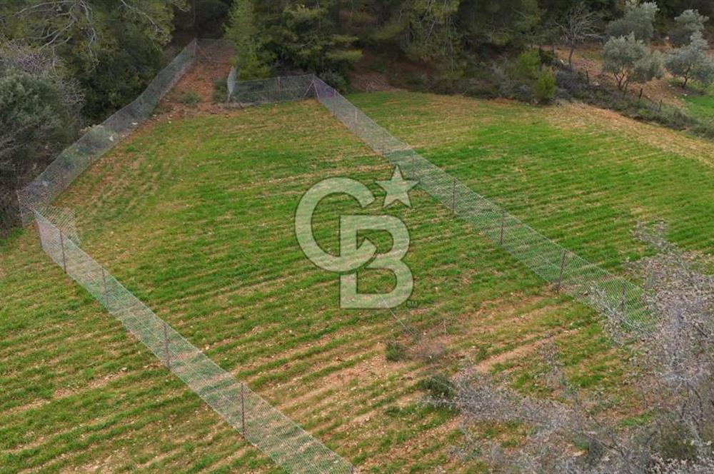 MUĞLA MENTEŞE ALGIDA SATILIK TARLA