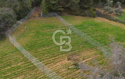 MUĞLA MENTEŞE ALGIDA SATILIK TARLA