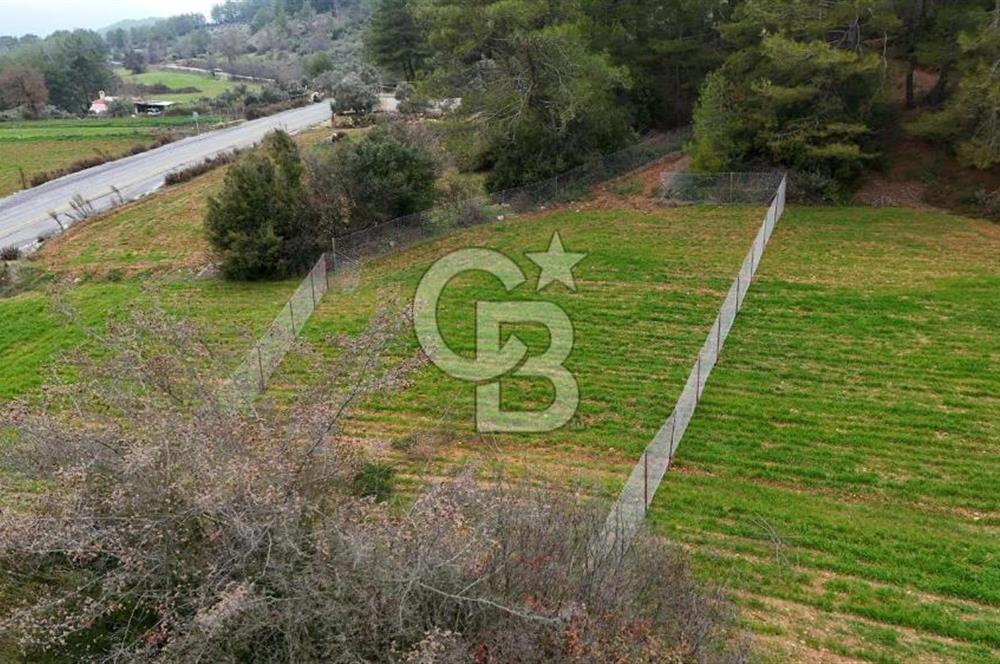 MUĞLA MENTEŞE ALGIDA SATILIK TARLA