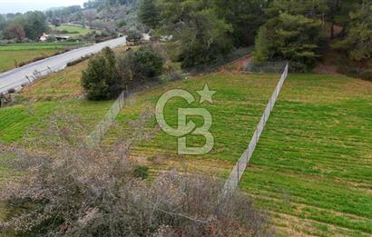 MUĞLA MENTEŞE ALGIDA SATILIK TARLA