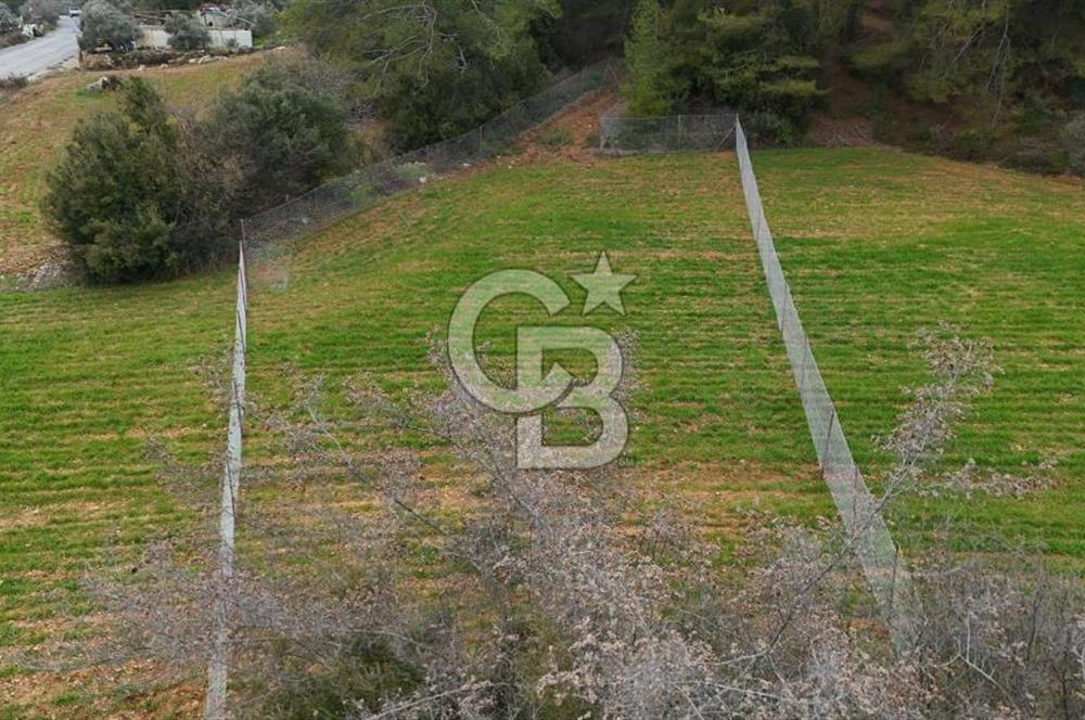 MUĞLA MENTEŞE ALGIDA SATILIK TARLA