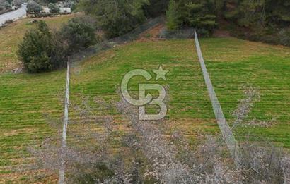 MUĞLA MENTEŞE ALGIDA SATILIK TARLA