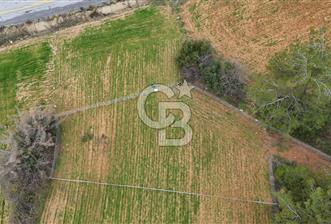 MUĞLA MENTEŞE ALGIDA SATILIK TARLA - 7 - 340111