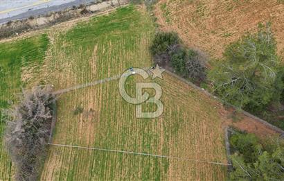 MUĞLA MENTEŞE ALGIDA SATILIK TARLA