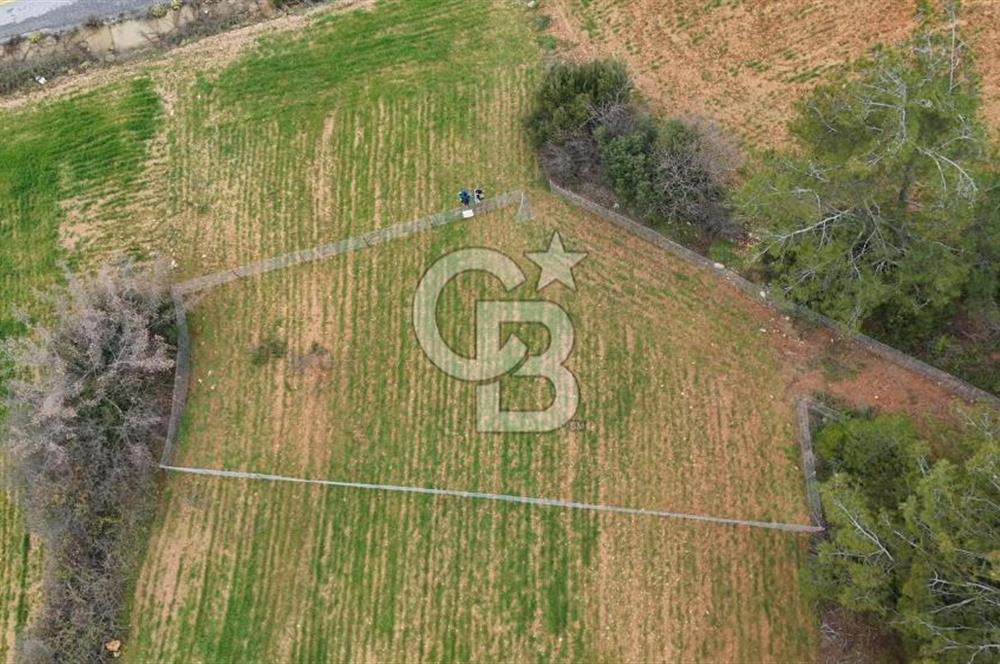 MUĞLA MENTEŞE ALGIDA SATILIK TARLA