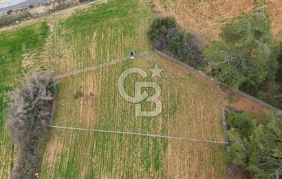 MUĞLA MENTEŞE ALGIDA SATILIK TARLA