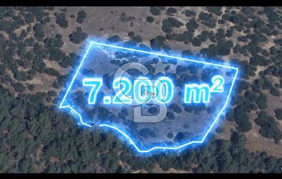 MANİSA DEMİRCİ'DE ORGANİK TARIMA UYGUN YATIRIMLIK ARAZİ