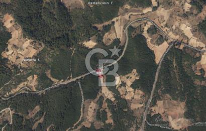 MUĞLA MENTEŞE FADILCADA YOL ÜZERİ 2.351m2 TARLA 