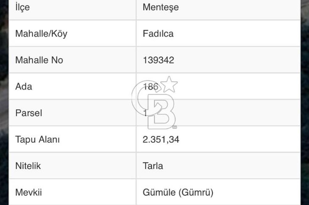 MUĞLA MENTEŞE FADILCADA YOL ÜZERİ 2.351m2 TARLA 