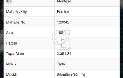 MUĞLA MENTEŞE FADILCADA YOL ÜZERİ 2.351m2 TARLA 