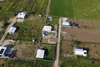 ÇITAKTA 213m2 İÇERİSİNDE KONTEYNER BULUNAN TARLA - 10 - 340112