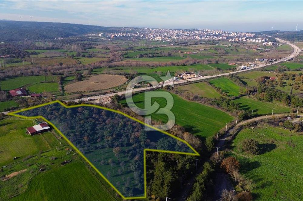 AYVACIK SÖĞÜTLÜ ANAYOLA CEPHE SATILIK 24 DÖNÜM TARLA