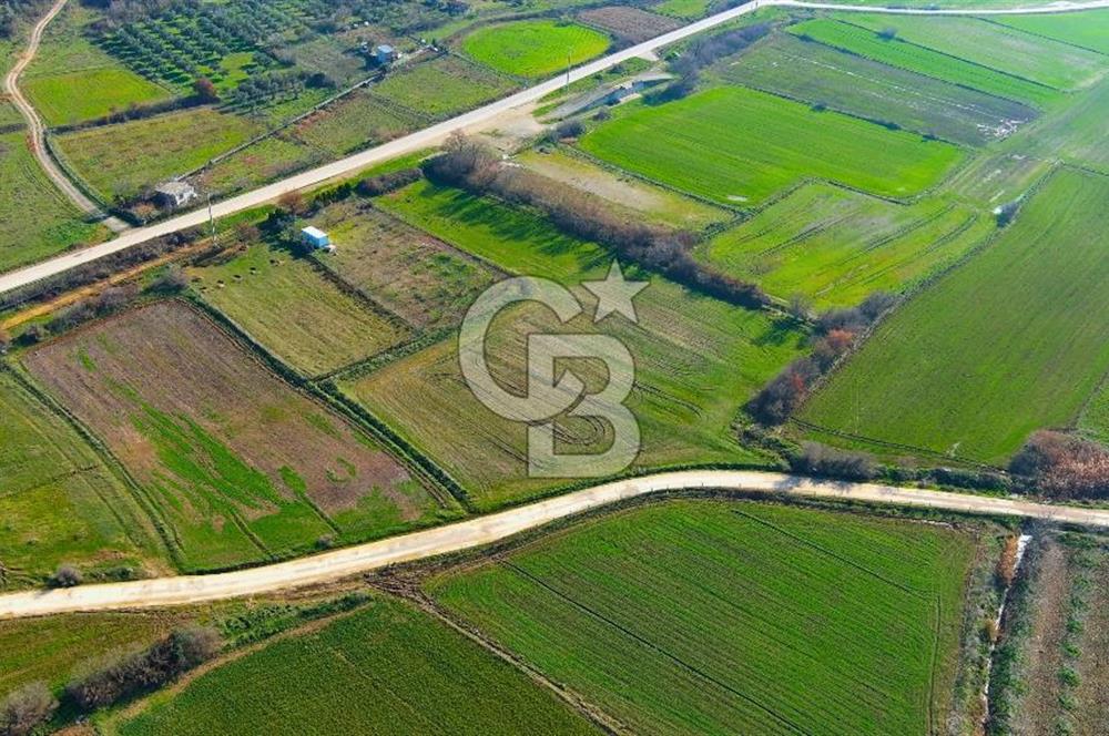 Karacabey Seyran'da Konut Gelişim Alanında Yola Cephe Fırsat!