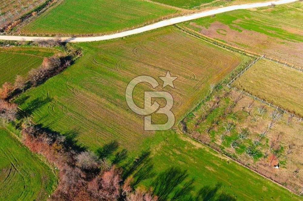 Karacabey Seyran'da Konut Gelişim Alanında Yola Cephe Fırsat!