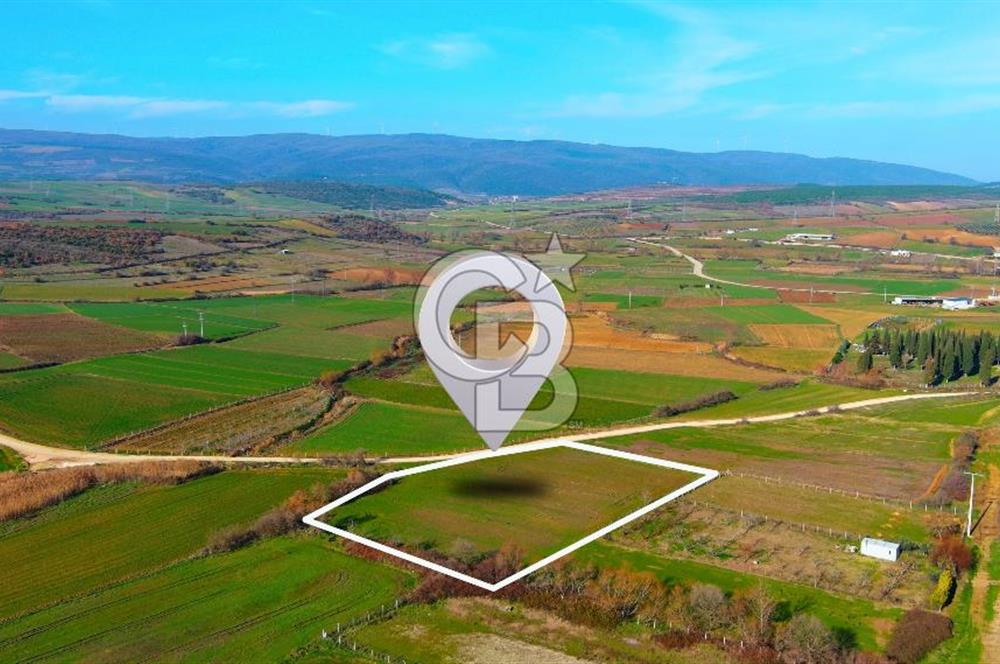 Karacabey Seyran'da Konut Gelişim Alanında Yola Cephe Fırsat!