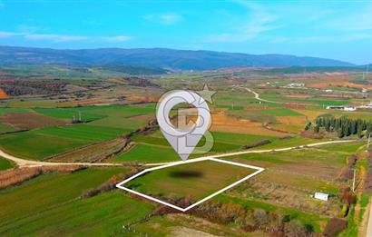 Karacabey Seyran'da Konut Gelişim Alanında Yola Cephe Fırsat!