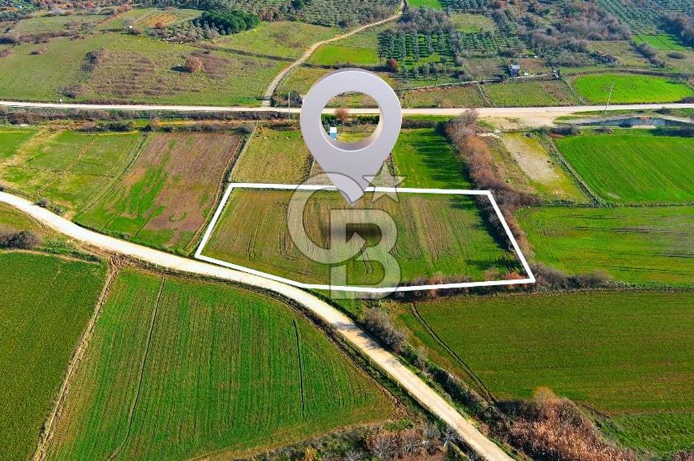 Karacabey Seyran'da Konut Gelişim Alanında Yola Cephe Fırsat!