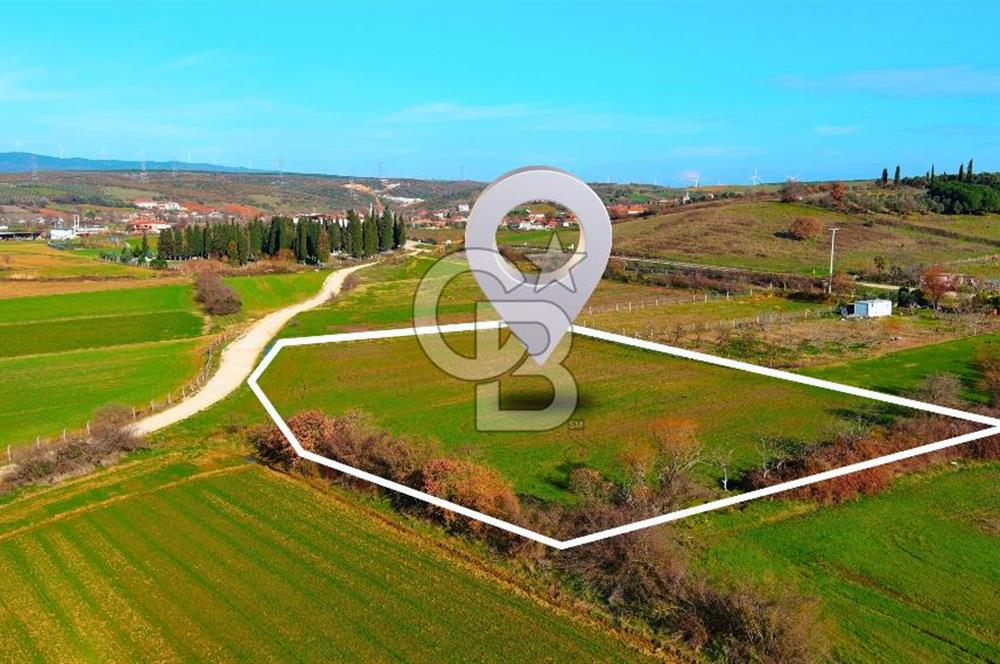 Karacabey Seyran'da Konut Gelişim Alanında Yola Cephe Fırsat!