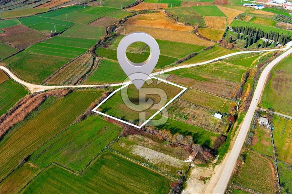 Karacabey Seyran'da Konut Gelişim Alanında Yola Cephe Fırsat!