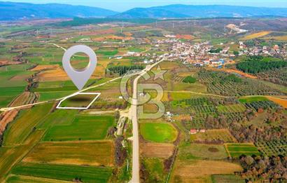 Karacabey Seyran'da Konut Gelişim Alanında Yola Cephe Fırsat!