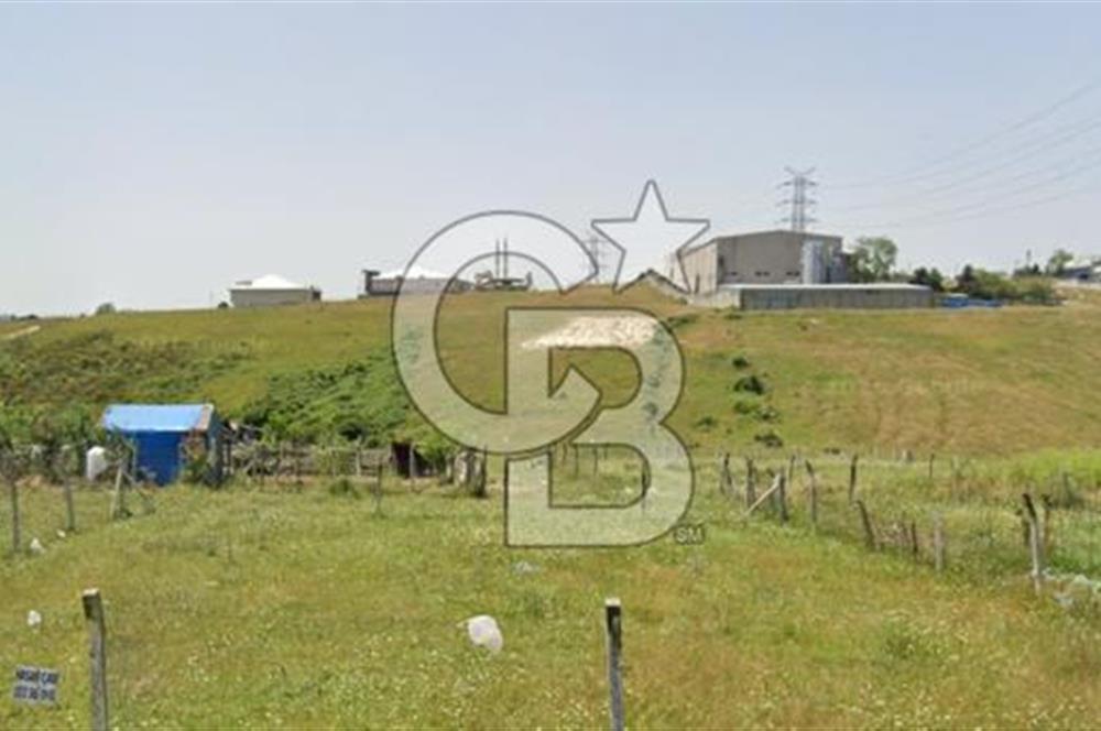 TAŞOLUK TÜRKKÖŞE'DE 289 M2 YATIRIMLIK FIRSAT ARSA