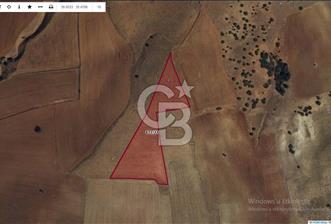 CB CITY' DEN AFYONKARAHİSAR/İHSANİYE MAH SATILIK TARLA - 1 - 340162