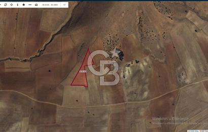 CB CITY' DEN AFYONKARAHİSAR/İHSANİYE MAH SATILIK TARLA