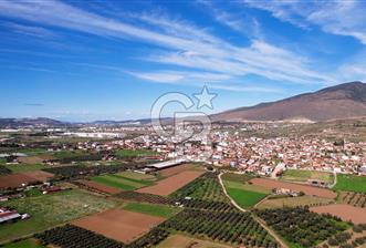 TÜRKELLİ'DE 3340M2 TARLA İMARA 440M - 5 - 340135