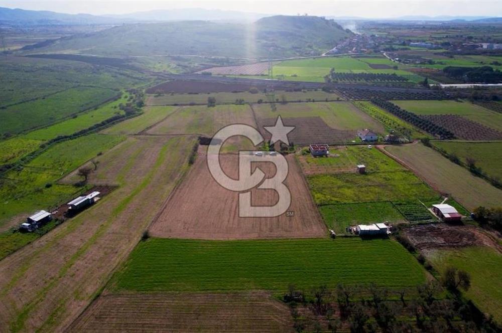 TÜRKELLİ'DE 3340M2 TARLA İMARA 440M