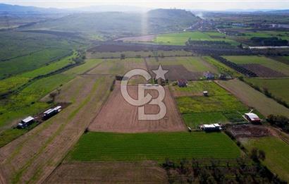 TÜRKELLİ'DE 3340M2 TARLA İMARA 440M