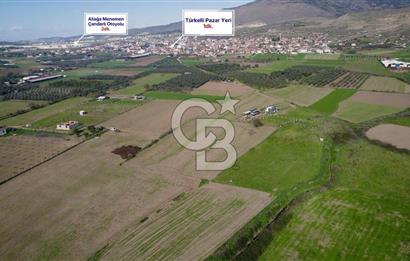 TÜRKELLİ'DE 3340M2 TARLA İMARA 440M