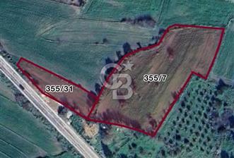 MUMCULAR'DA BODRUM ANA YOLUNA SIFIR SATILIK 6061 M2 TARLA - 9 - 340138