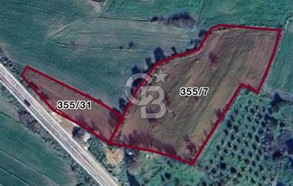 MUMCULAR'DA BODRUM ANA YOLUNA SIFIR SATILIK 6061 M2 TARLA