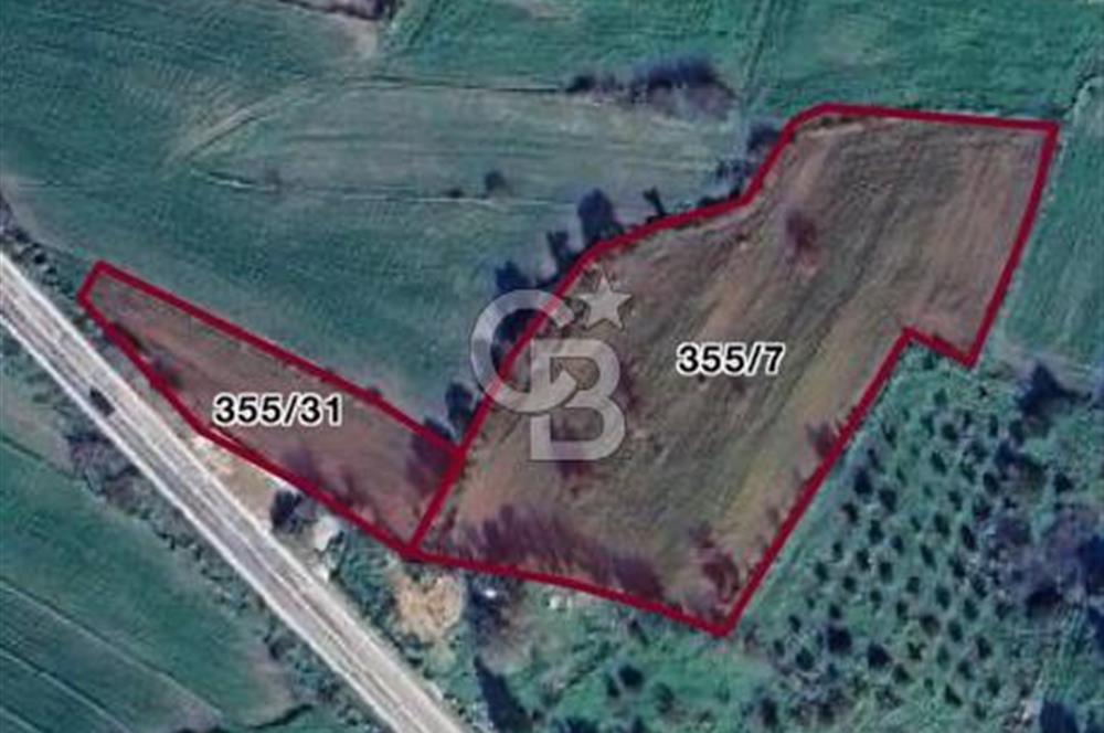 MUMCULAR'DA BODRUM ANA YOLUNA SIFIR SATILIK 6061 M2 TARLA